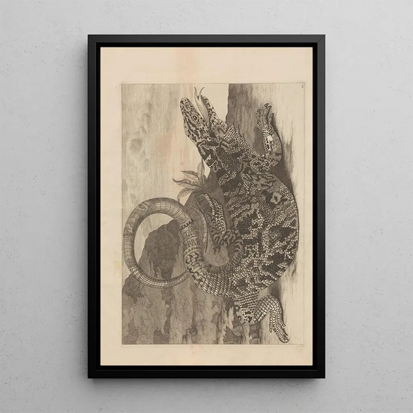 Maria Sibylla Merian - Dissertatio de generatione et metamorphosibus insectorum surinamensium Pl70.webp
