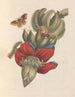 Dissertation sur la génération et les transformations des insectes de Surinam Pl32 - Maria Sibylla Merian — vy av konstverket
