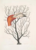 Caput Phoenicopteri Le bec du flamant dans ses dimensions complètes Keratophyton c - Mark Catesby — vy av konstverket