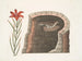 Hirondelle à queue épineuse, l'hirondelle américaine, lis à fleurs rouges singulier - Mark Catesby — vy av konstverket