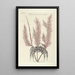 Piscium serpentum insectorum aliorumque nonnullorum animalum nec non plantarum quarundam imagines Pl035 - Mark Catesby — inramlat konstverk på väggen