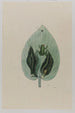 Rainette - Mark Catesby — vy av konstverket