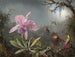 Orchidée Cattleya och tre kolibris - Martin Johnson Heade — vy av konstverket