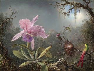 Orchidée Cattleya och tre kolibris - Martin Johnson Heade — vy av konstverket