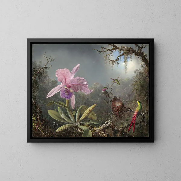 Orchidée Cattleya och tre kolibris - Martin Johnson Heade — inramlat konstverk på väggen