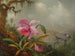 Orkidéer och kolibris - Martin Johnson Heade — vy av konstverket
