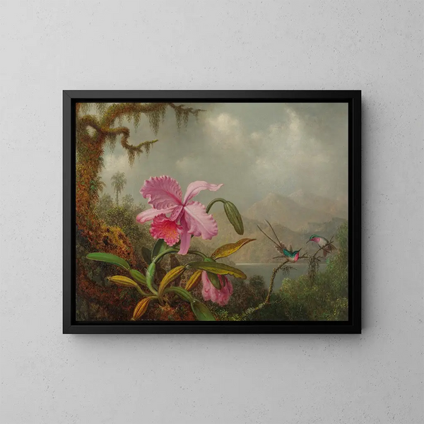 Orkidéer och kolibris - Martin Johnson Heade — inramlat konstverk på väggen