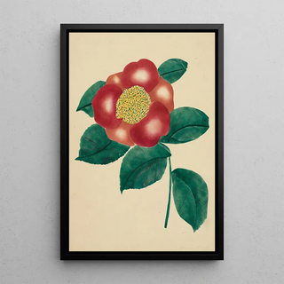 Mary Altha Nims - Chinese Flower.webp