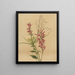 Fleur cardinale Lobelia cardinalis - Mary Vaux Walcott — inramlat konstverk på väggen
