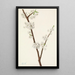 Prunier Chickasaw Prunus angustifolia - Mary Vaux Walcott — inramlat konstverk på väggen