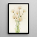 Linaigrette Eriophorum chamissonis - Mary Vaux Walcott — inramlat konstverk på väggen