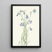 Campanula à feuilles rondes Campanula rotundifolia - Mary Vaux Walcott — inramlat konstverk på väggen