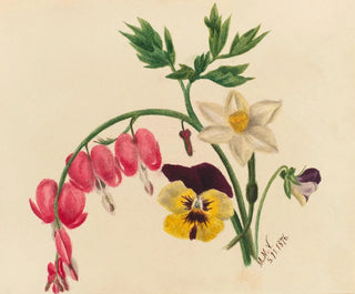 Blandade blommor - Mary Vaux Walcott — vy av konstverket