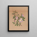 Rose mauve Hibiscus moscheutos - Mary Vaux Walcott — inramlat konstverk på väggen