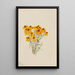 Zinnia Zinnia grandiflora - Mary Vaux Walcott — inramlat konstverk på väggen