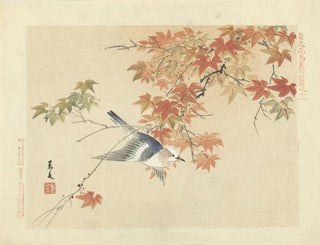 Matsumura Keibun - Chestnutcheeked starling.webp