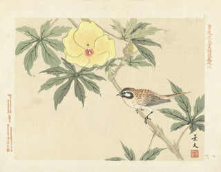 Matsumura Keibun - Sunset hibiscus and meadow bunting.webp