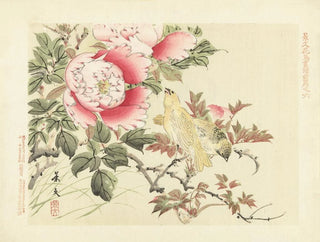 Pivoine arborescente et canari - Matsumura Keibun — vy av konstverket