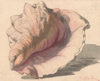 Maurits van der Valk - Schelp.webp