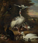 Fåglar - Melchior d'Hondecoeter — vy av konstverket
