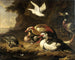 Kanadagäss - Melchior d'Hondecoeter — vy av konstverket