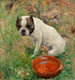 Min hund - Karl Georg Arsenius — vy av konstverket