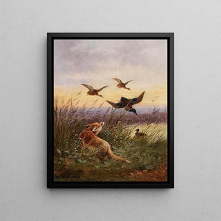Moritz Mller - A Fox Hunting Ducks.webp