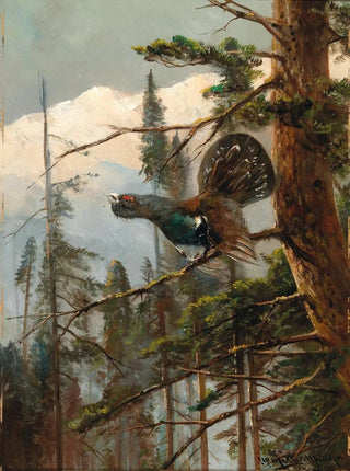 Moritz Mller - Auerhahn.webp