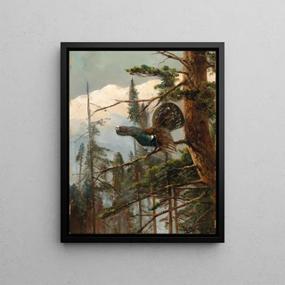 Moritz Mller - Auerhahn.webp