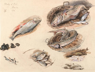 Studie av fisk i Venedig - Myles Birket Foster — vy av konstverket