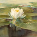 Nénuphar au soleil - John La Farge — vy av konstverket