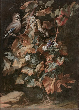Nicola van Houbraken - Geai et tourneau sur un pied de vigne entour de liseron.webp