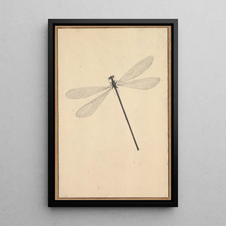 Nicolaas Struyk - A Dragonfly.webp