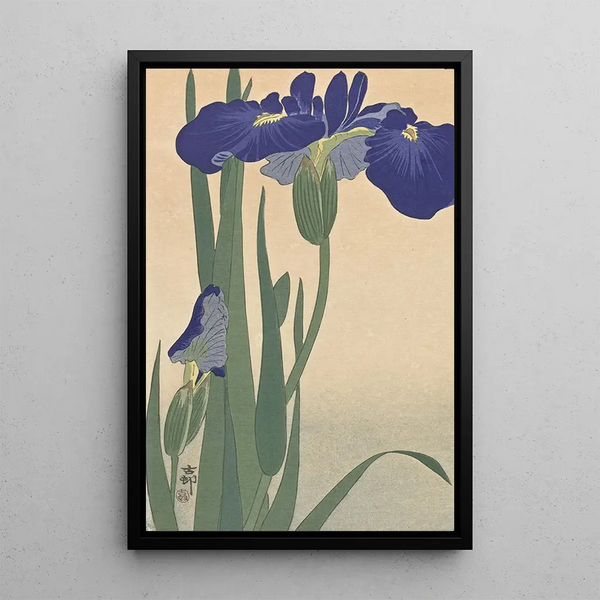 Iris bleus - Ohara Koson — inramlat konstverk på väggen