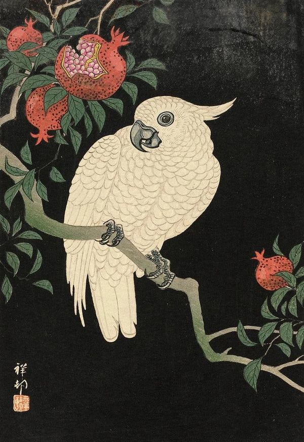 Cacatoès och granatäpple - Ohara Koson — inramlat konstverk på väggen