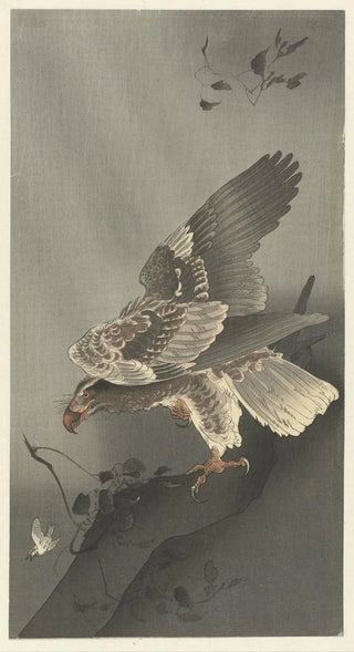 Ohara Koson - Eagle lurking for prey.webp