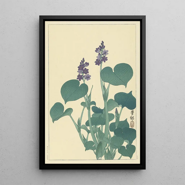 Hosta en blomma - Ohara Koson — inramlat konstverk på väggen