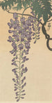 Glycine en fleur - Ohara Koson — vy av konstverket