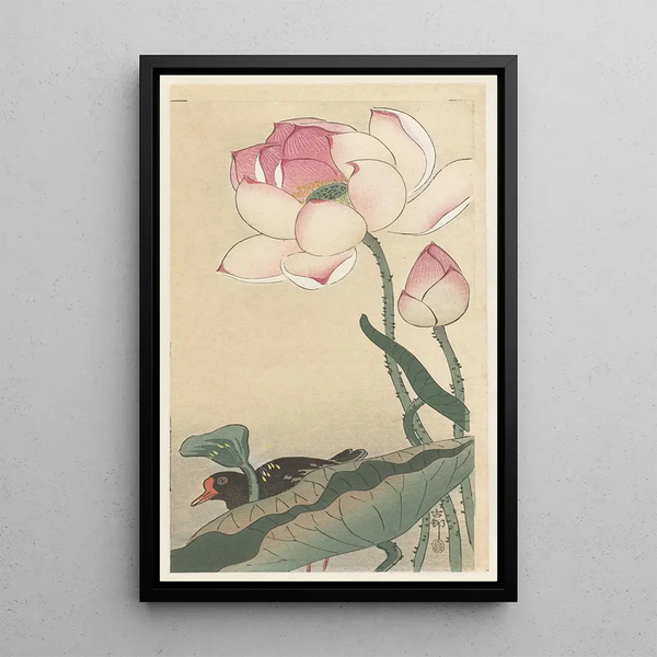 Gallinule med lotusblommor - Ohara Koson — inramlat konstverk på väggen