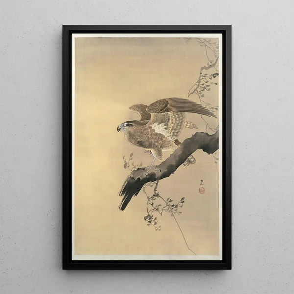 Faucon - Ohara Koson — inramlat konstverk på väggen
