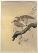 Faucon - Ohara Koson — vy av konstverket