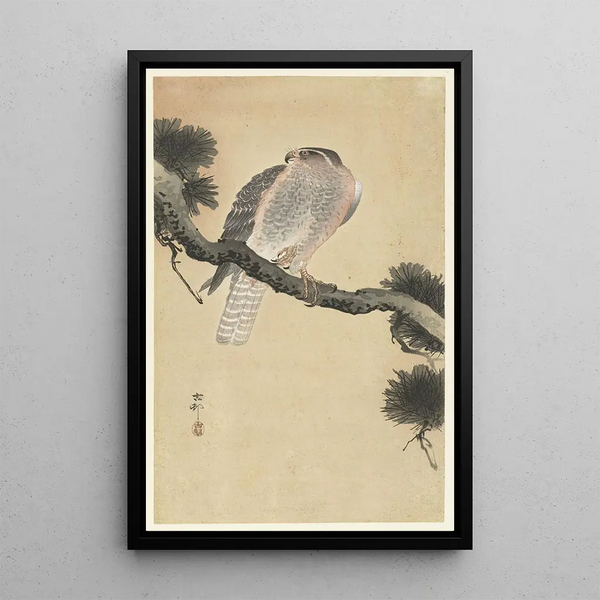 Faucon sur branche de pin - Ohara Koson — inramlat konstverk på väggen