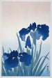Iris - Ohara Koson — vy av konstverket