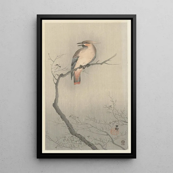 Jaseur du Japon sur branche - Ohara Koson — inramlat konstverk på väggen