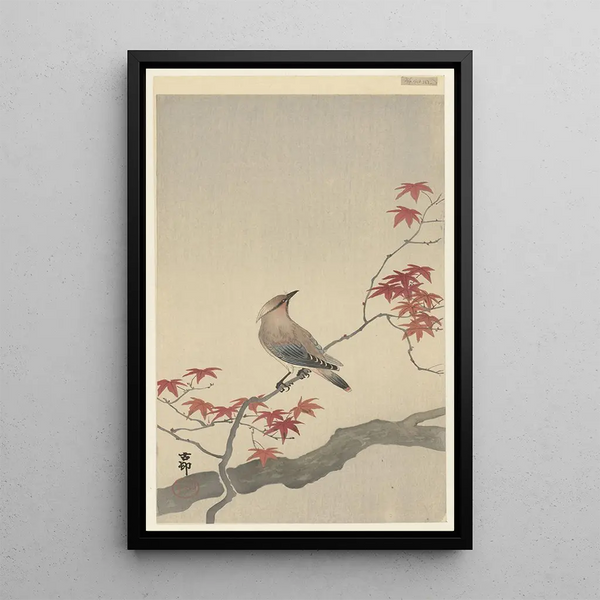 Jaseur du Japon sur érable - Ohara Koson — inramlat konstverk på väggen