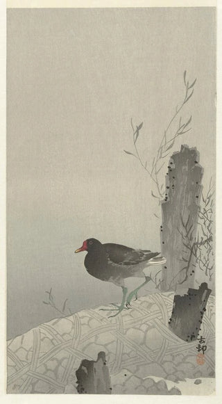 Ohara Koson - Moorhen.webp