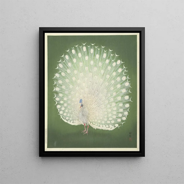 Ohara Koson - Peacock.webp