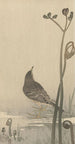 Siffleur d'eau - Ohara Koson — vy av konstverket