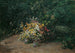 fältblommor - Olga Wisinger-Florian — vy av konstverket