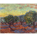 Reproduktion av målningen Oliveraie, Saint-Rémy - Vincent van Gogh